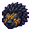 Voltcrag